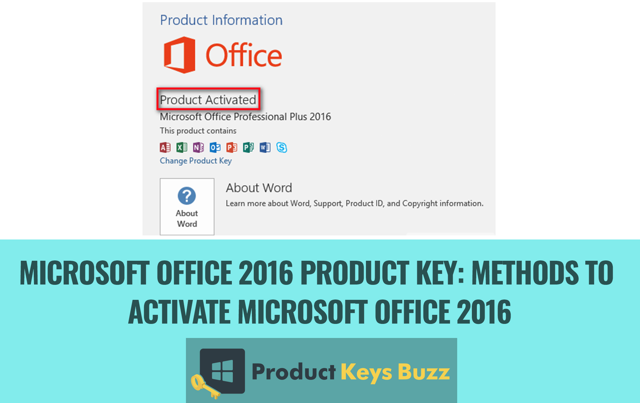 Download excel office 2016